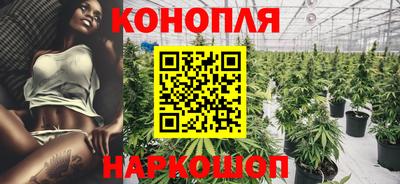 прущие грибы Малоярославец