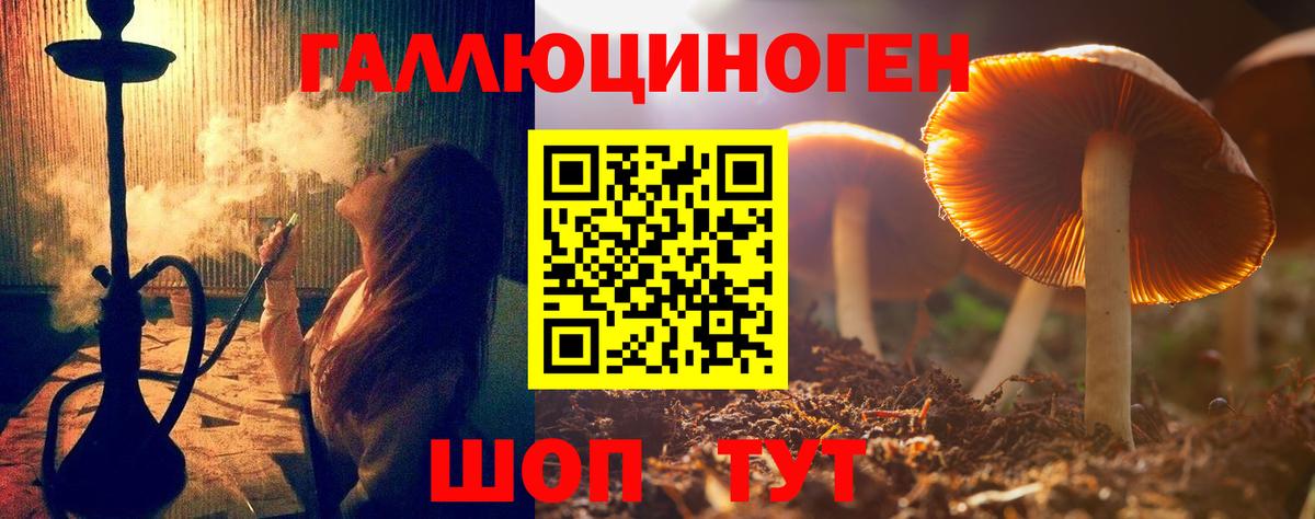 Фурманов  Псилоцибиновые грибы GOLDEN TEACHER  Вход с VPN  Псилоцибиновые грибы GOLDEN TEACHER 